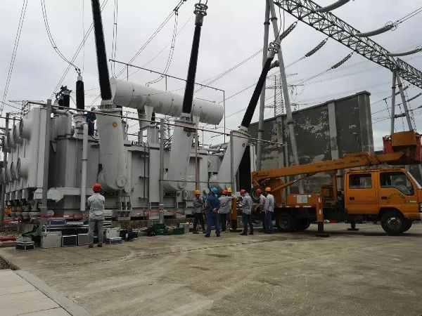 狂暴的臺風中，請記住這些無畏的“平民英雄”！