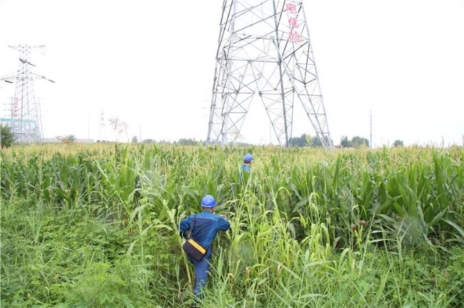 狂暴的臺風中，請記住這些無畏的“平民英雄”！