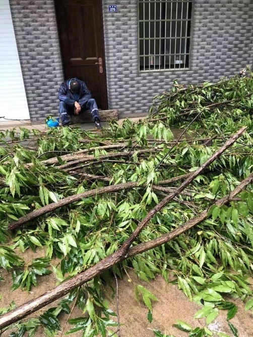 狂暴的臺風中，請記住這些無畏的“平民英雄”！