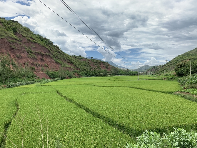 微信圖片_20190814142113 微信圖片_20190814142113