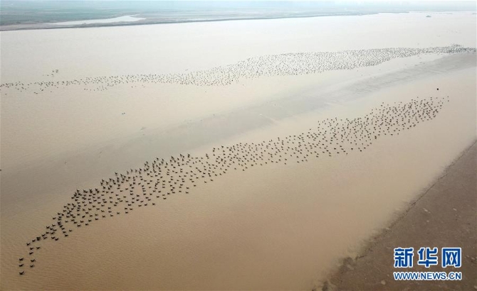 （圖文互動）（3）大河奔流書寫綠色發(fā)展畫卷——黃河連續(xù)20年不斷流啟示