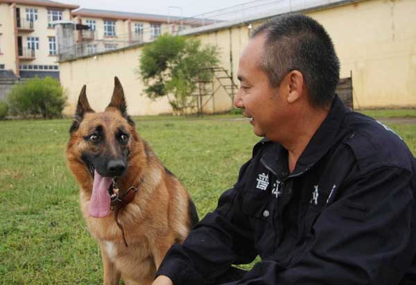 普洱市公安局刑偵支隊警犬大隊長李華與警犬麗卡月