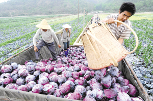 74481565890936820 74481565890936820