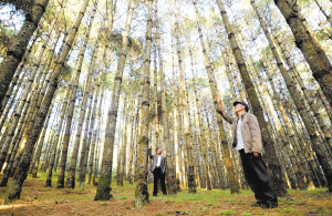 94471565890937945 94471565890937945