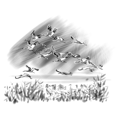 候鳥(niǎo)是大地上的另一種節(jié)氣 候鳥(niǎo)是大地上的另一種節(jié)氣