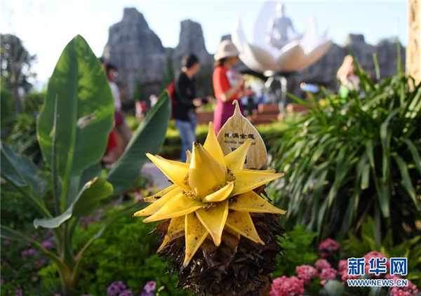 1124890244_15661296069511n 1124890244_15661296069511n