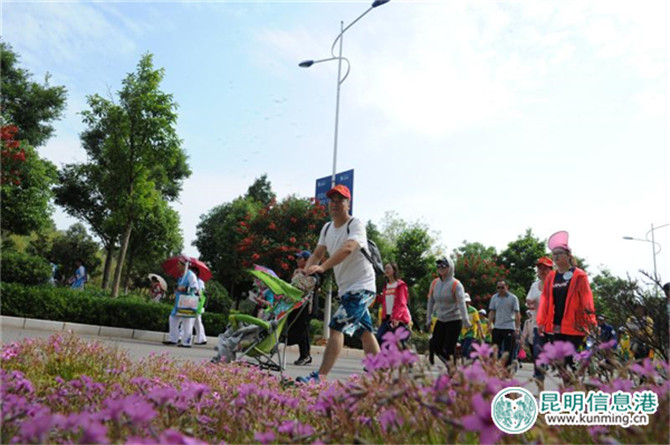 4ccc6a75a7381a951f3a4b