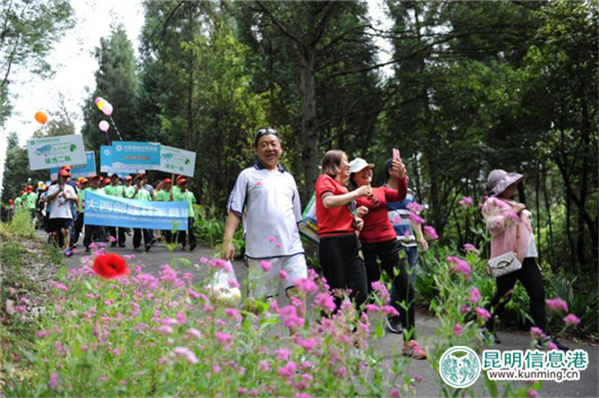 4ccc6a75a7381a951f3a4d