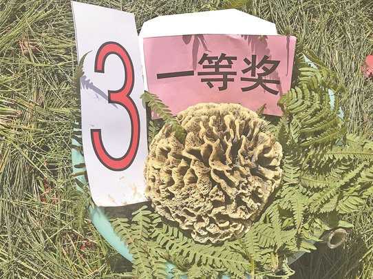 QQ截圖20190820082300 QQ截圖20190820082300