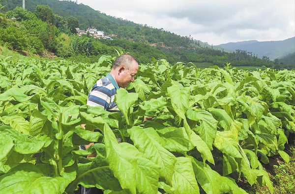 t01c0484d394d6aed23 t01c0484d394d6aed23