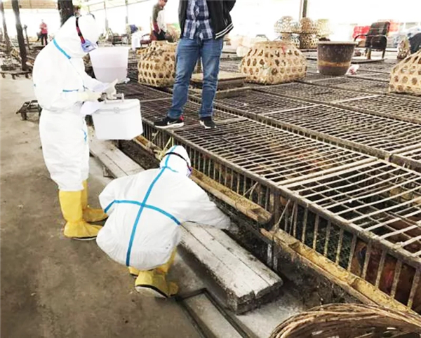 做好檢疫工作。五華區(qū)衛(wèi)生健康局供圖