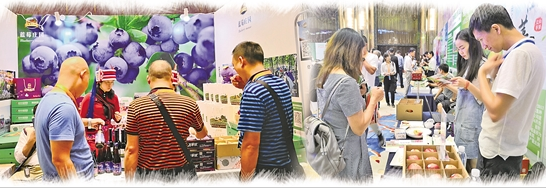 QQ截圖20190821082754 QQ截圖20190821082754