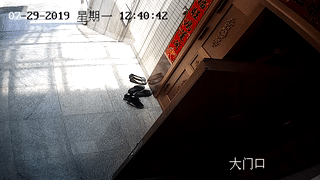 陳江橋，好樣的！