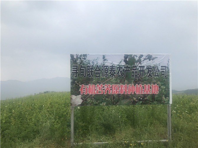 mmexport1566313535792 mmexport1566313535792