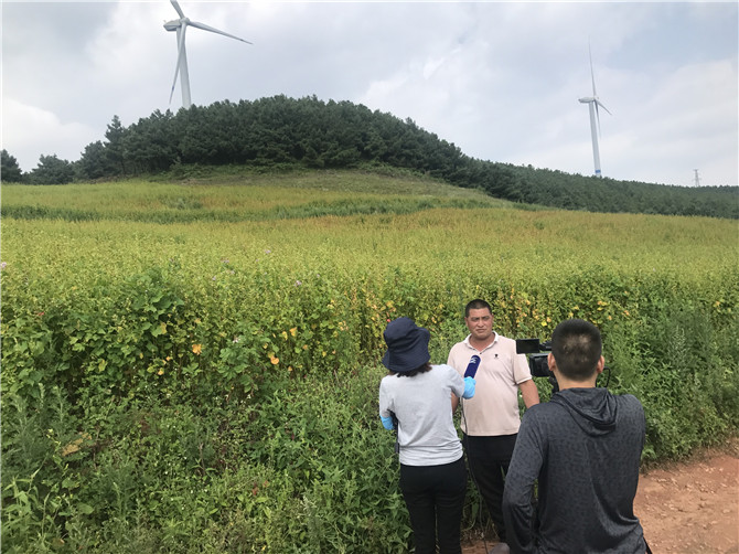 mmexport1566313548176 mmexport1566313548176