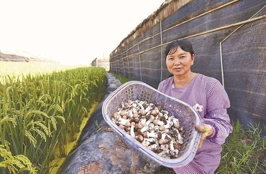 QQ截圖20190822082351 QQ截圖20190822082351