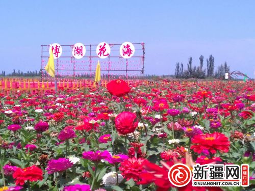 5QQ圖片20190822135042