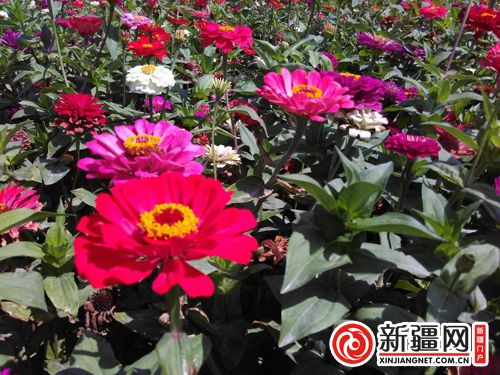 5QQ圖片20190822135107