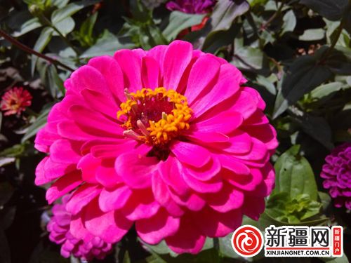 5QQ圖片20190822135113