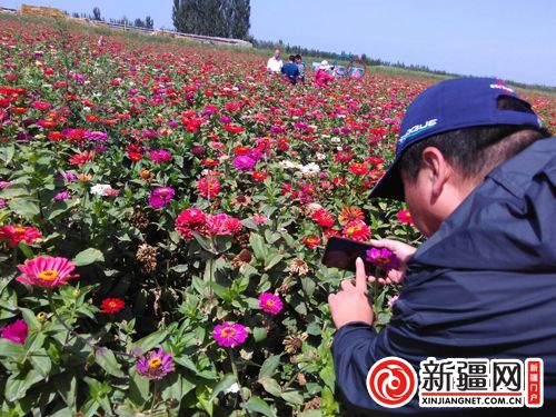 5QQ圖片20190822135117