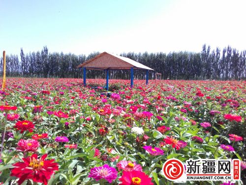 5QQ圖片20190822135122