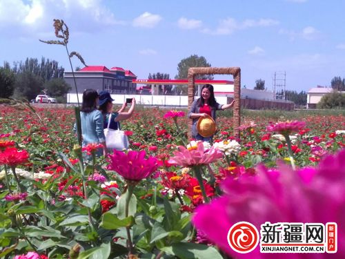 5QQ圖片20190822135140