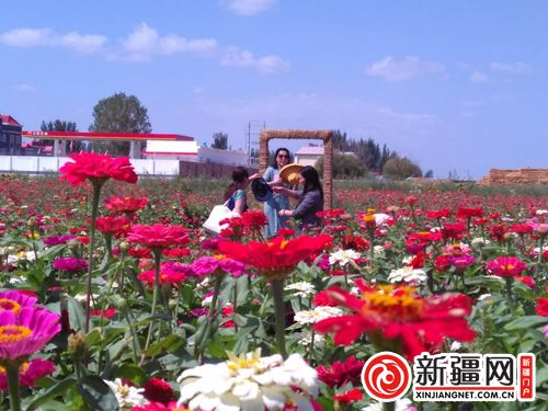 5QQ圖片20190822135218