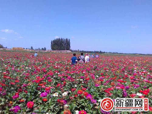 5QQ圖片20190822135145