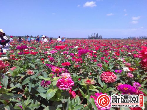 5QQ圖片20190822135236