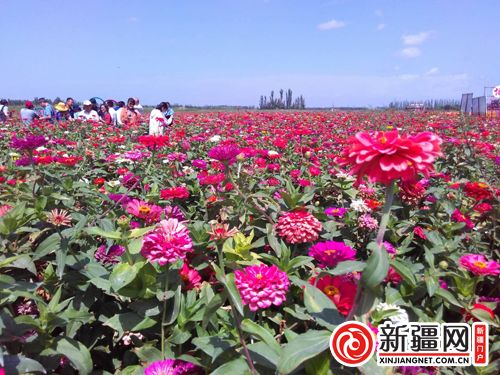 5QQ圖片20190822135227