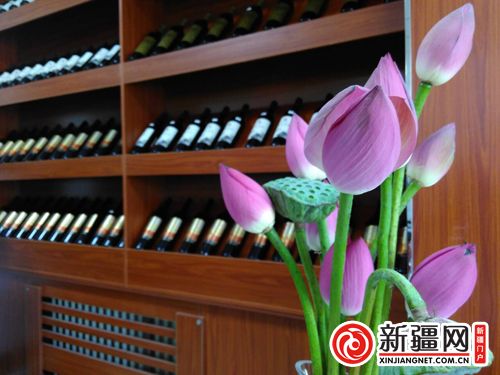 5QQ圖片20190822131732