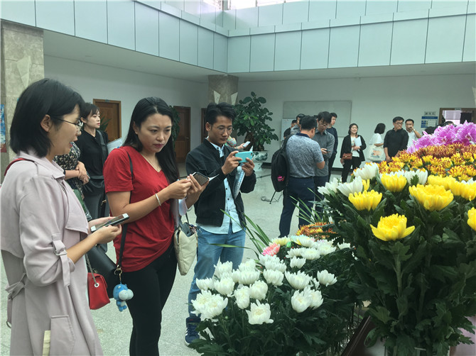 viewfile (1) viewfile (1)