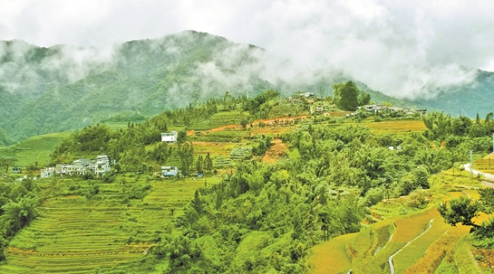 QQ截圖20190823083230