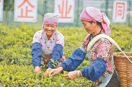 QQ截圖20190823083244