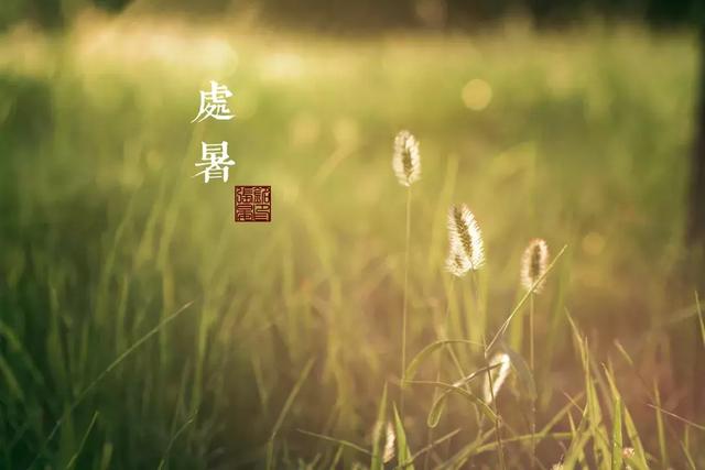 今日處暑！晚風(fēng)漸涼，有你心暖