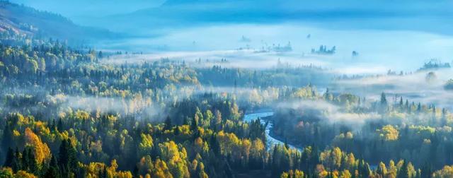 今日處暑！晚風(fēng)漸涼，有你心暖