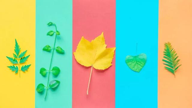 今日處暑！晚風(fēng)漸涼，有你心暖