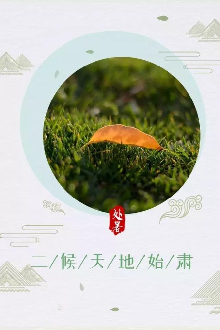 今日處暑！晚風(fēng)漸涼，有你心暖