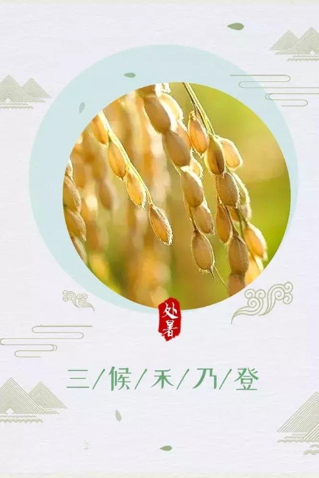 今日處暑！晚風(fēng)漸涼，有你心暖