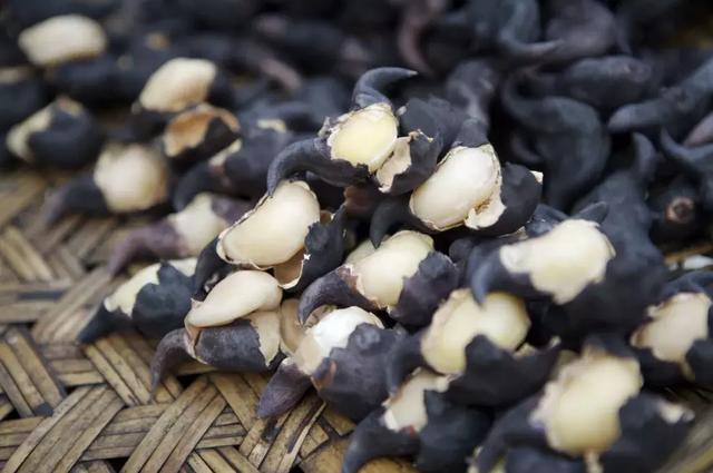 今日處暑！晚風(fēng)漸涼，有你心暖