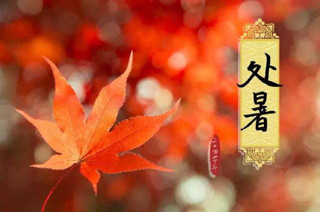 今日處暑！晚風(fēng)漸涼，有你心暖