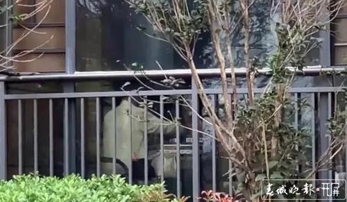 宅小區(qū)內(nèi)開麻將館整天“嘩啦嘩啦” 居民頭疼 物管沒轍 到底該怎么辦？3.jpg