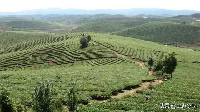 景洪市大渡崗鄉(xiāng)