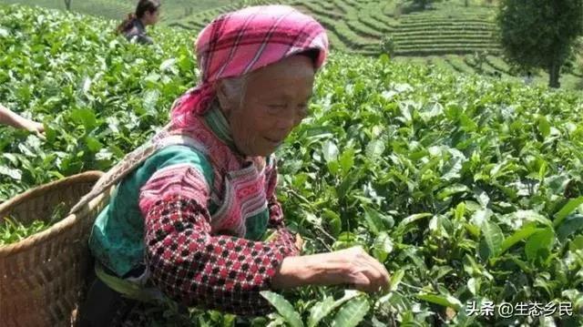 景洪市大渡崗鄉(xiāng)