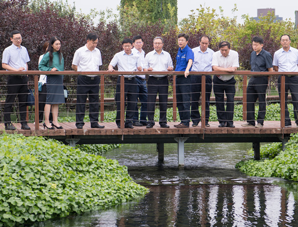 mmexport1566707655959 mmexport1566707655959