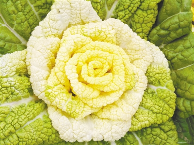 1124905806_15664355332741n 1124905806_15664355332741n