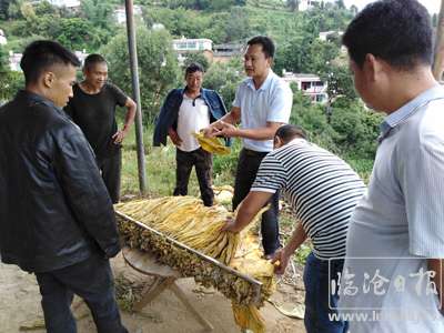 督查組在進行相關巡查