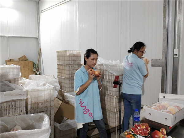 “賓果兒”包裝車(chē)間主播在直播銷(xiāo)售。記者刁鳳云攝