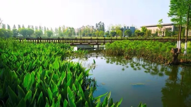 目的.webp 目的.webp