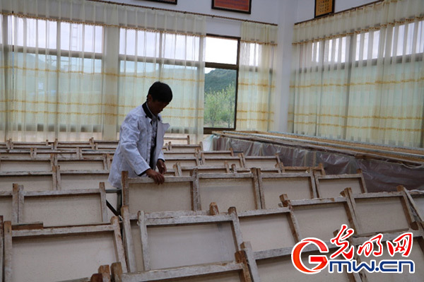 【新時(shí)代·邊疆行】西藏米林:特色產(chǎn)業(yè)是脫貧致富的“錢袋子” 【新時(shí)代·邊疆行】西藏米林:特色產(chǎn)業(yè)是脫貧致富的“錢袋子”